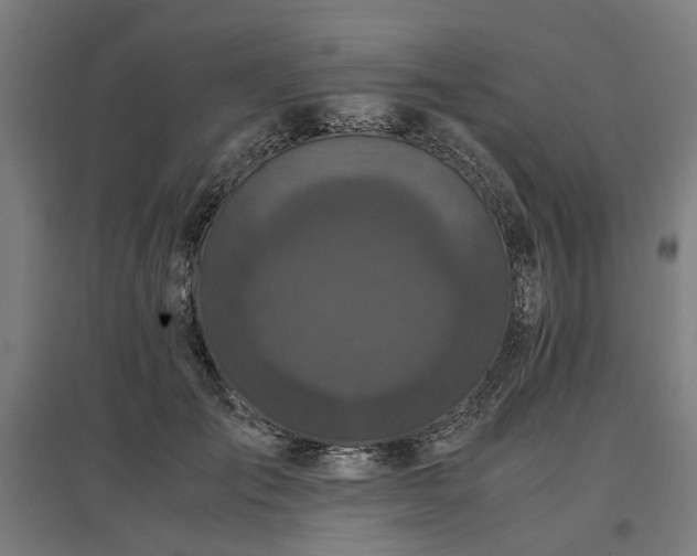 X0000096980701200802151330