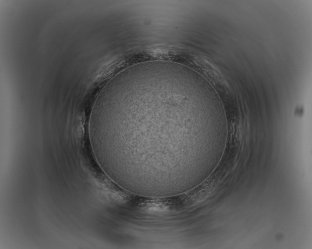 X0000096980702200802151330