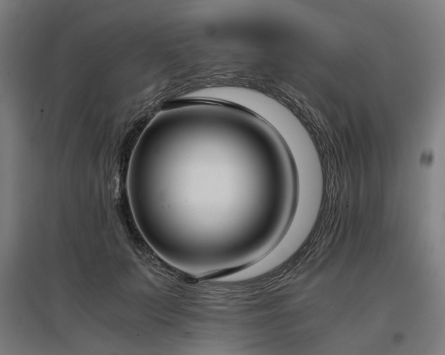 X0000096980703200802151330