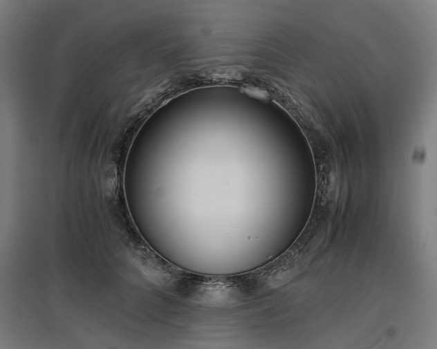 X0000096980704200802151330