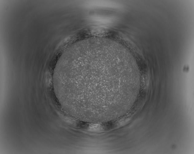 X0000096980705200802151330