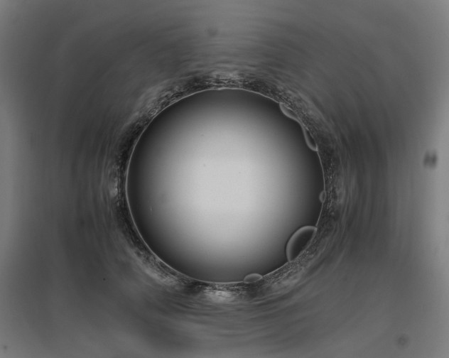 X0000096980706200802151330