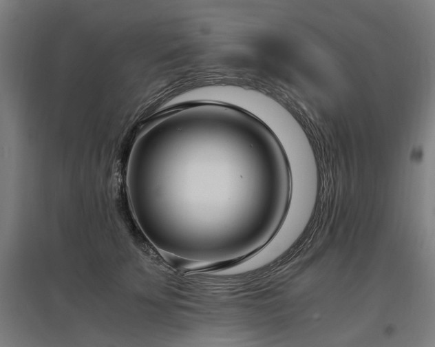 X0000096980707200802151330