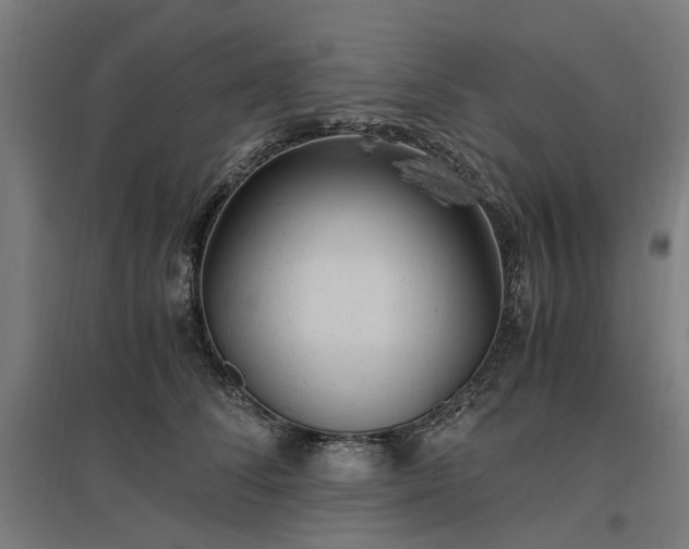 X0000096980708200802151330