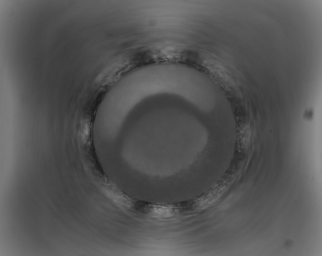 X0000096980709200802151330