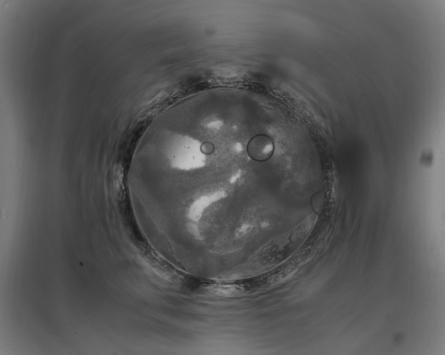 X0000096980711200802151330