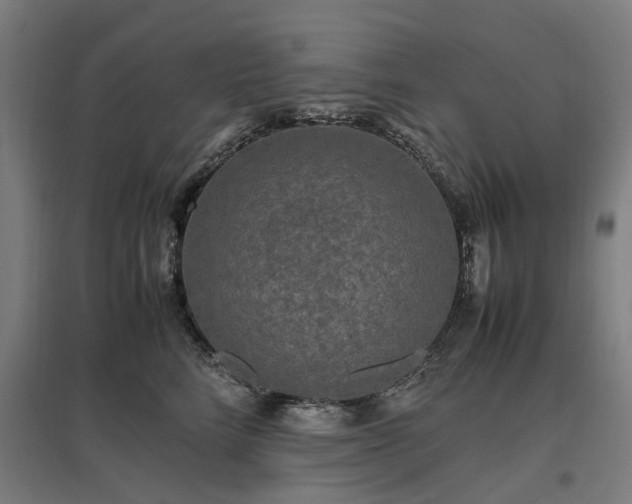 X0000096980712200802151330