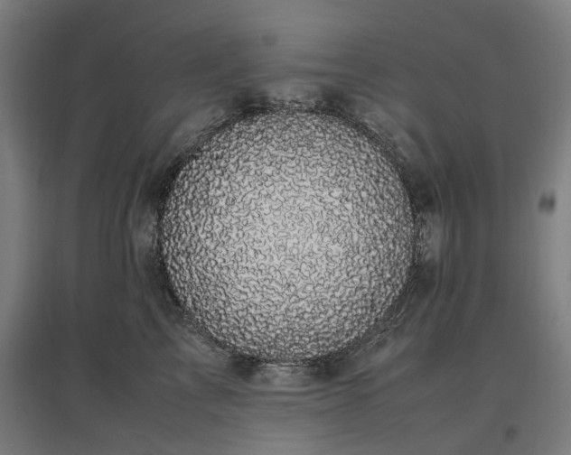 X0000096980713200802151330