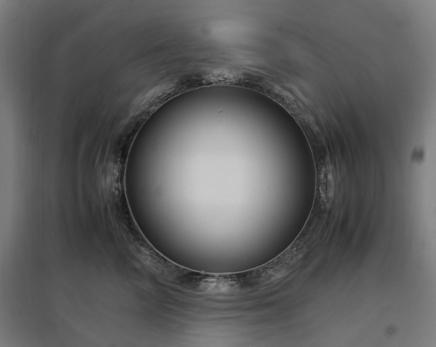 X0000096980714200802151330