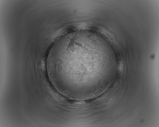 X0000096980715200802151330