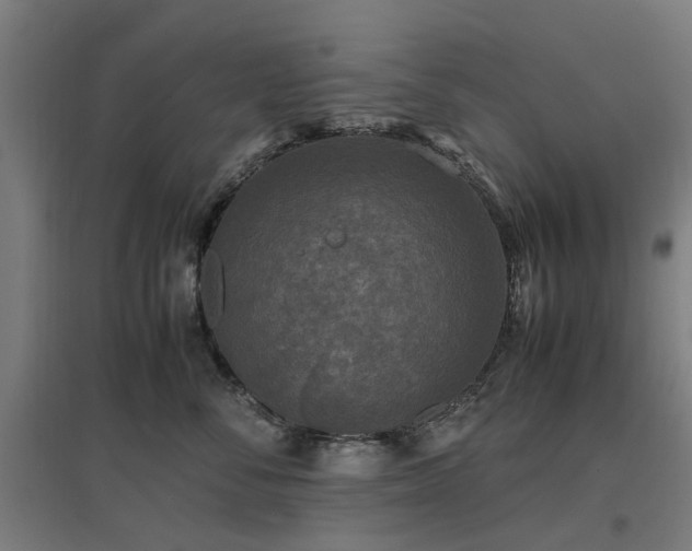 X0000096980716200802151330