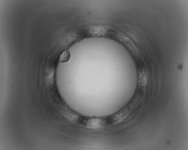 X0000096980717200802151330