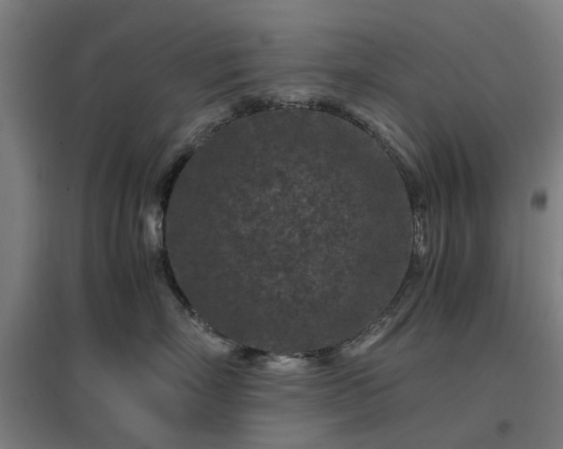 X0000096980718200802151330