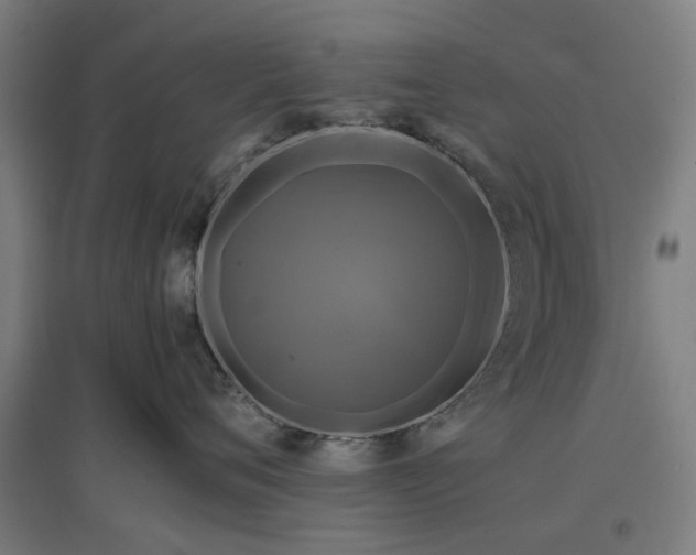 X0000096980720200802151330