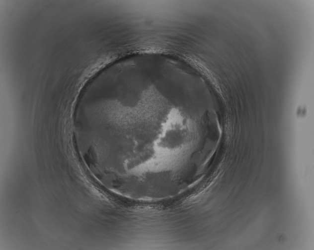 X0000096980721200802151330