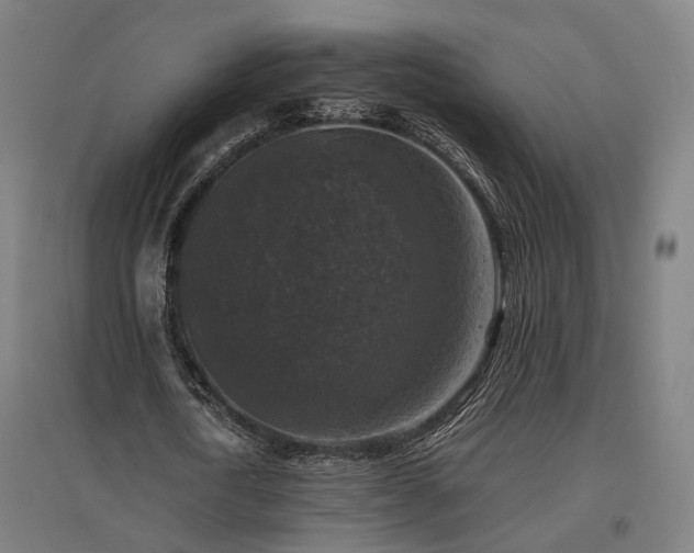 X0000096980722200802151330