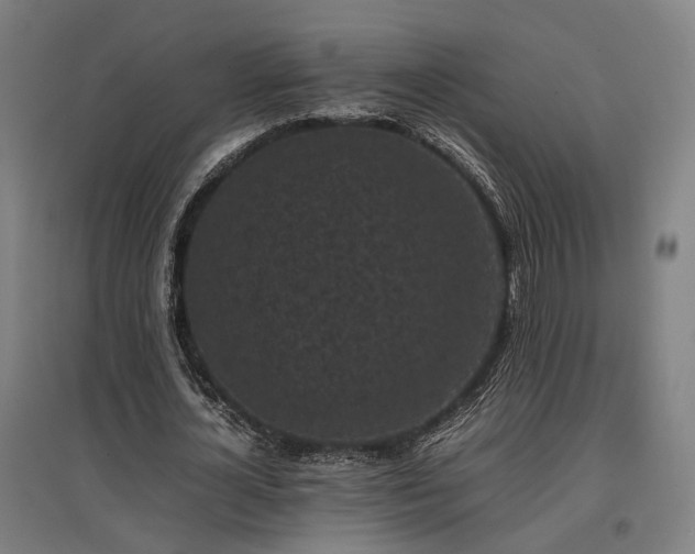 X0000096980724200802151330