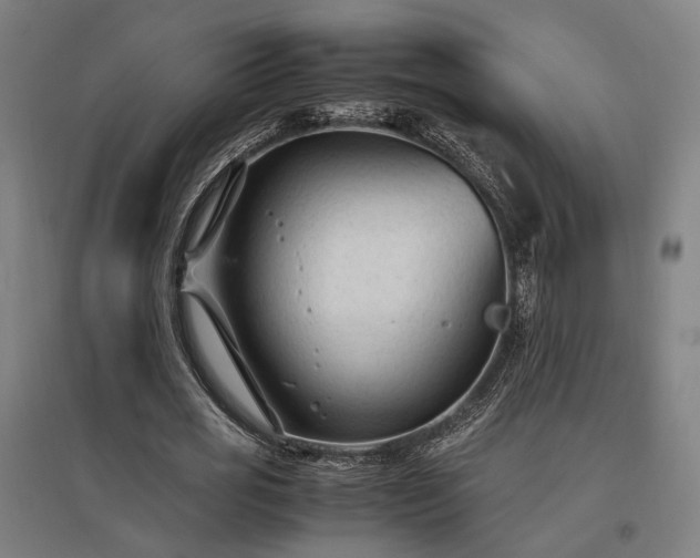 X0000096980725200802151330