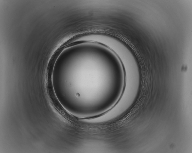 X0000096980726200802151330