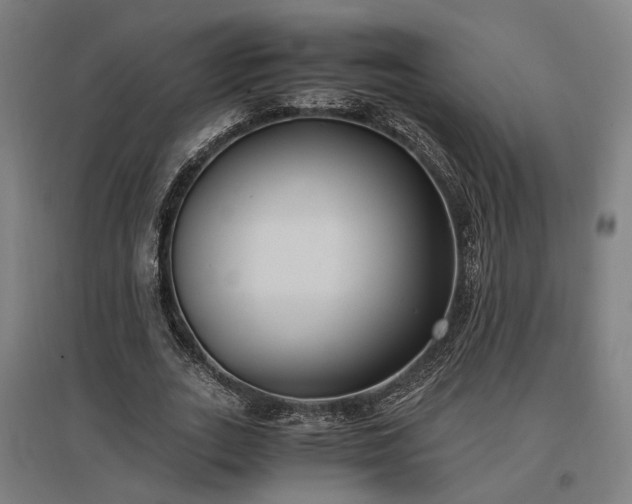 X0000096980727200802151330