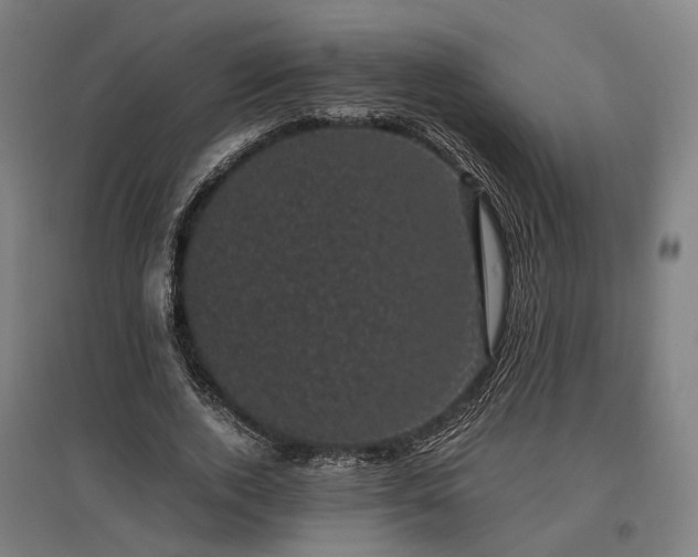 X0000096980728200802151330