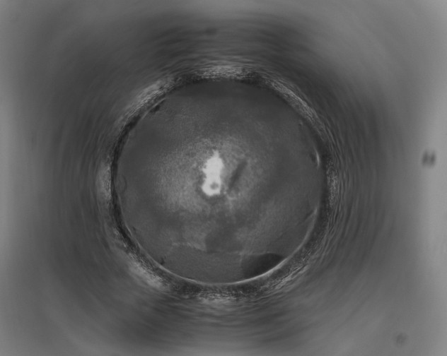 X0000096980729200802151330