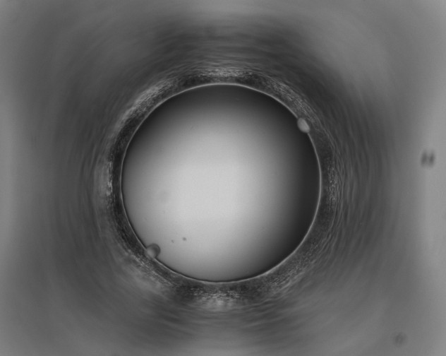 X0000096980731200802151330