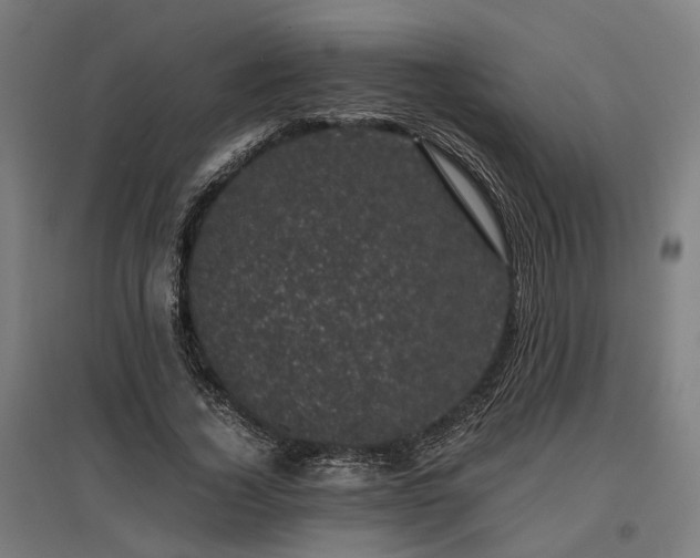 X0000096980732200802151330