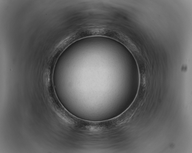 X0000096980733200802151330