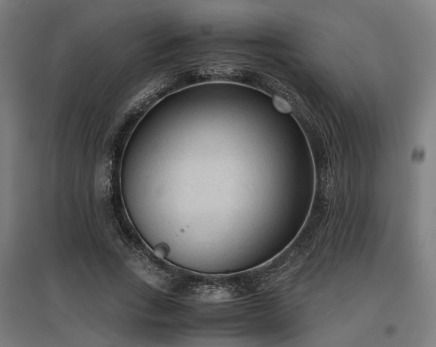 X0000096980735200802151330