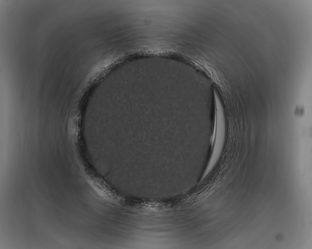 X0000096980736200802151330