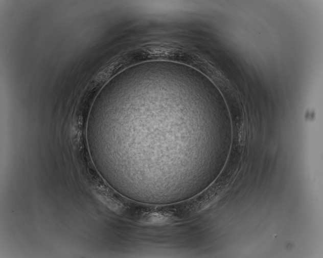 X0000096980737200802151330