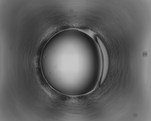 X0000096980738200802151330