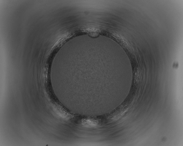 X0000096980739200802151330