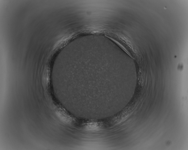 X0000096980740200802151330