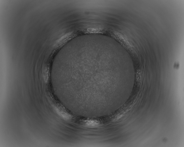 X0000096980741200802151330