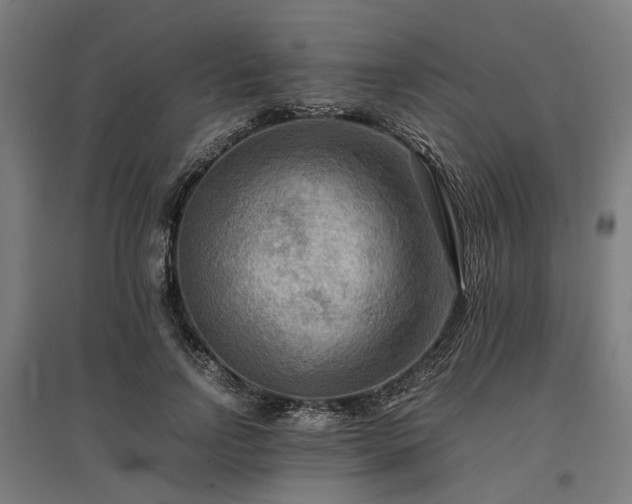 X0000096980742200802151330