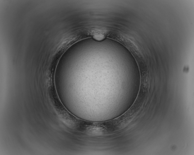 X0000096980743200802151330