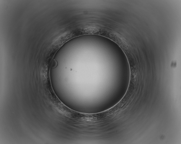 X0000096980745200802151330