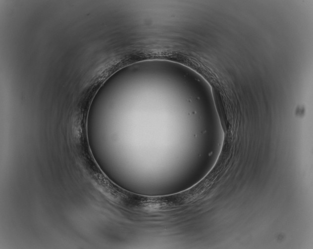 X0000096980746200802151330