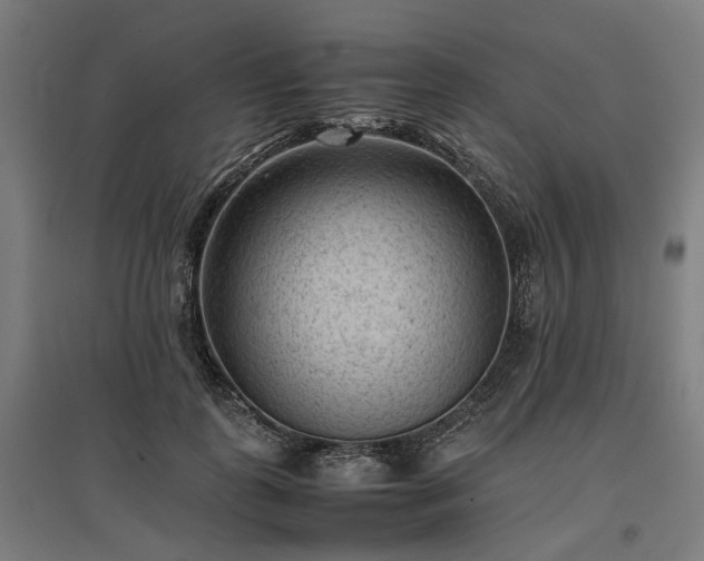 X0000096980747200802151330