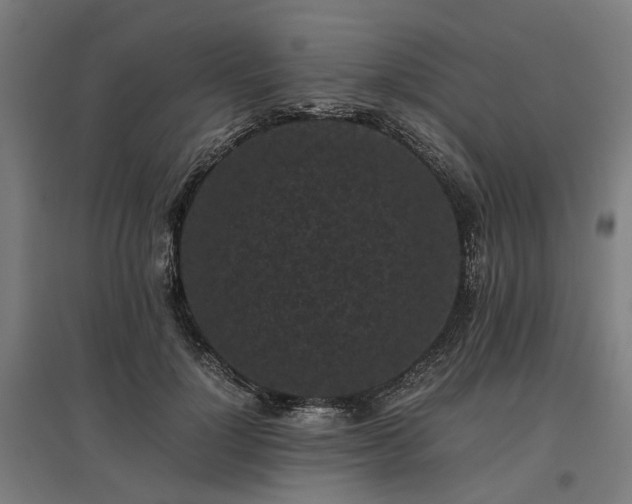 X0000096980748200802151330