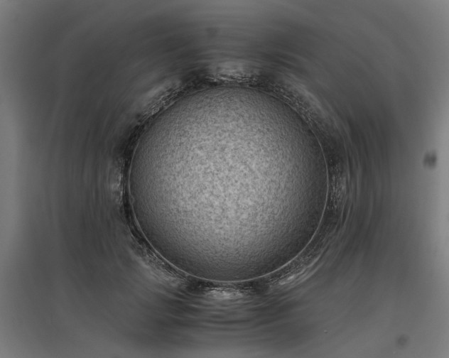 X0000096980749200802151330