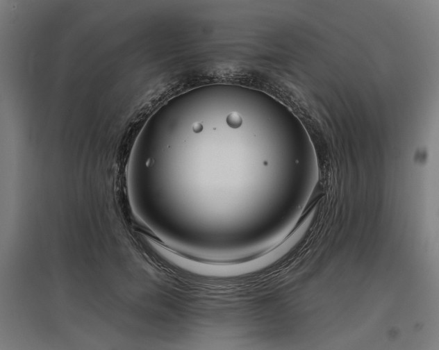 X0000096980750200802151330