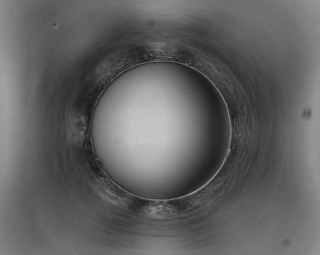 X0000096980752200802151330