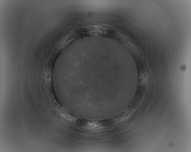 X0000096980753200802151330