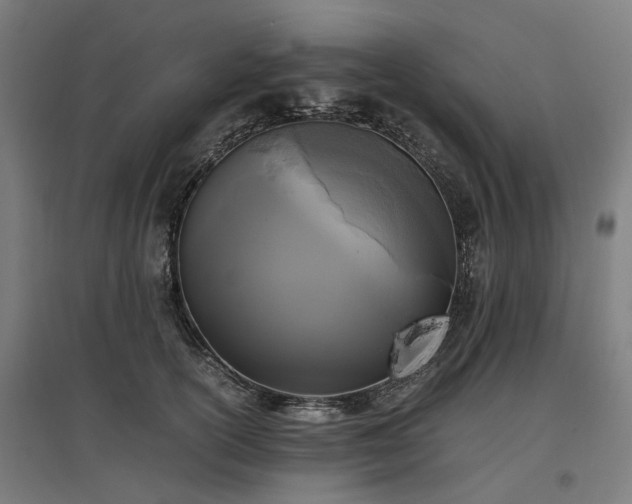 X0000096980754200802151330