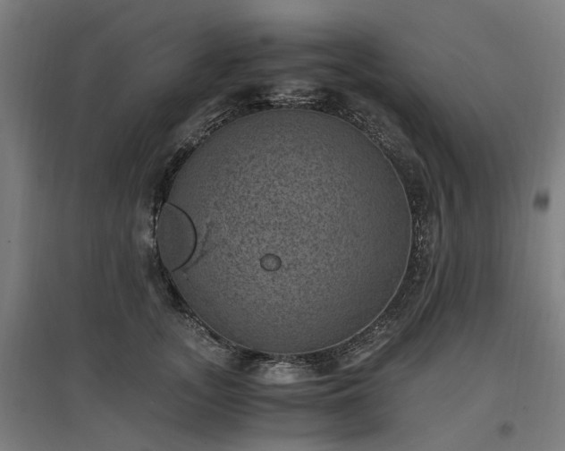 X0000096980755200802151330