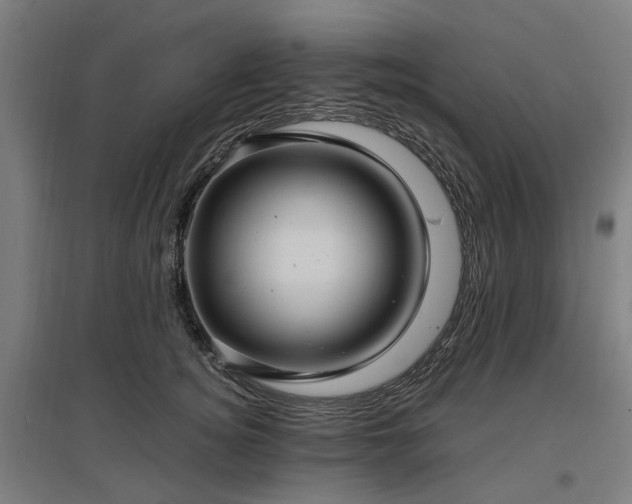 X0000096980756200802151330