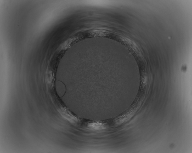 X0000096980759200802151330